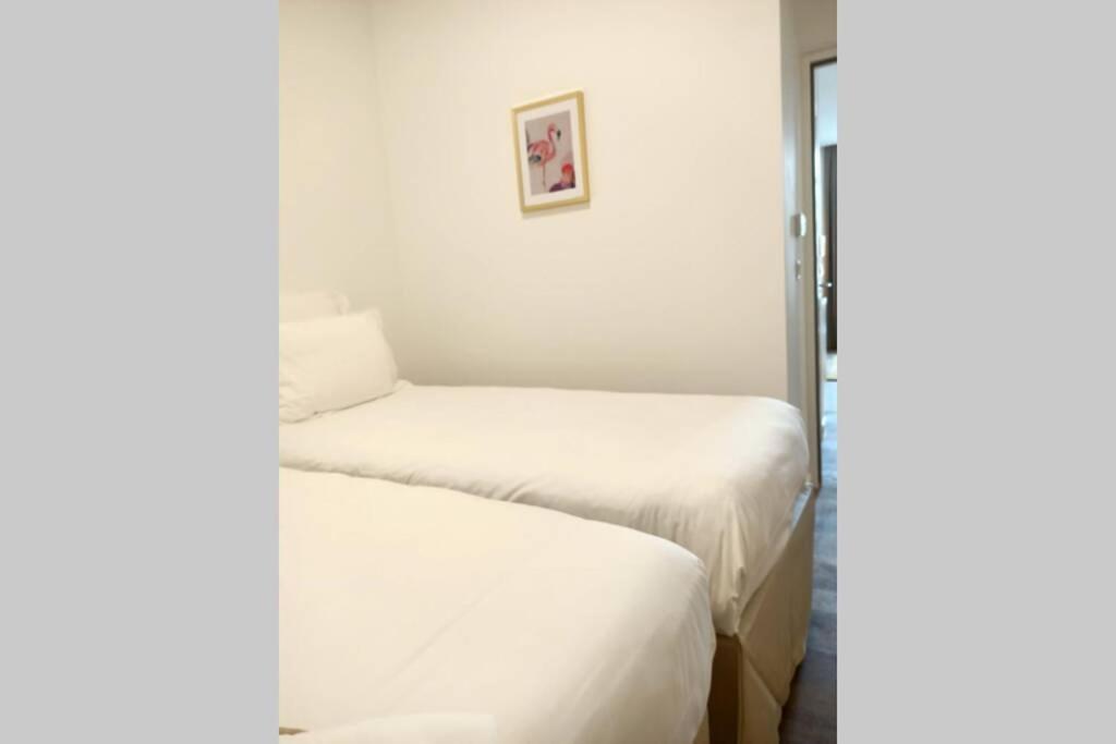 Appartement Montpellier Comedie Gare St Roch エクステリア 写真